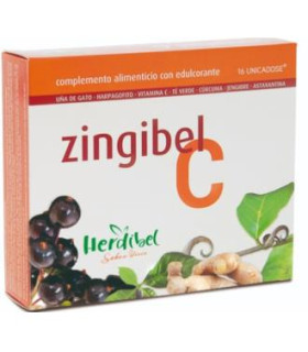 ZINGIBEL 16amp.