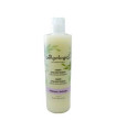 CHAMPU EXFOLIANTE anticaspa 300ml. (ref. 641)