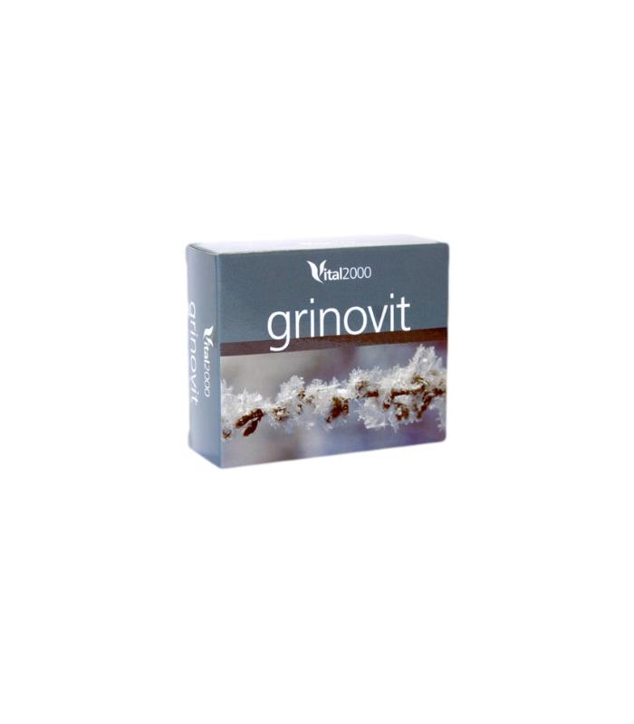 GRINOVIT 60comp.