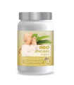 JENGIBRE NEO 45cap.