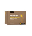 VITALART ARTICULAR 60comp.