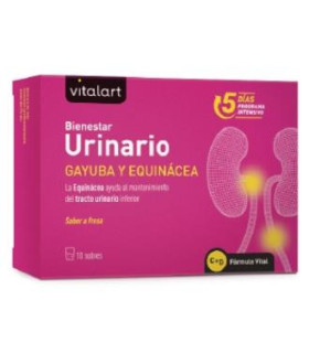 VITALART BIENESTAR URINARIO 10sbrs.