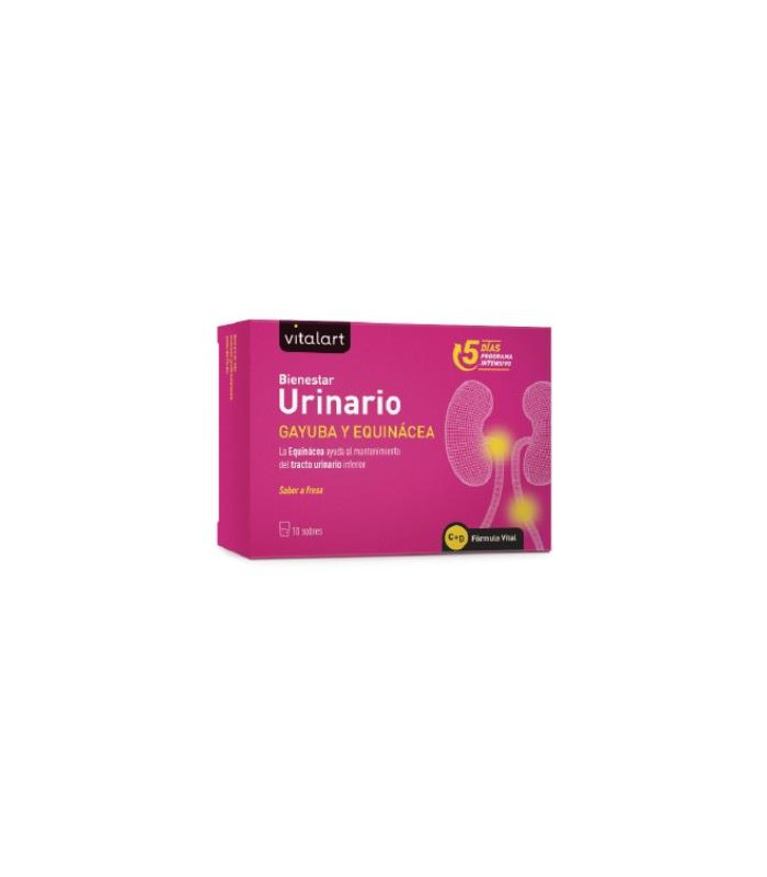 VITALART BIENESTAR URINARIO 10sbrs.