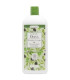 GEL DE BAÑO aceite de oliva 500ml. ECOCERT