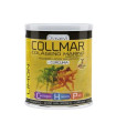 COLLMAR magnesio + curcuma sabor limon 300gr.
