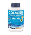 COLAGENO MARINO+SILICIO ORGANICO 180comp.