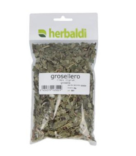 HIERBA GROSELLERO NEGRO 50gr.