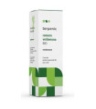 ROMERO VERBENONA aceite esencial BIO 5ml.
