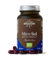 MICO SOL (champiñon del sol) HDT 70cap.
