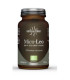 MICO LEO (melena de leon) con vit. C HDT 70cap.