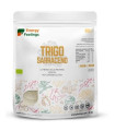 TRIGO SARRACENO grano 1kg. ECO VEGAN SG