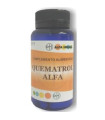 QUEMATROL ALFA 60cap.