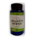 PSYLLIUM HERBAL 100cap.