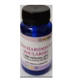 SACCHAROMICES BOULARDII 50cap .VEGAN