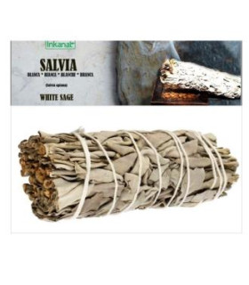 SALVIA BLANCA ATADO 10cm bolsa 1Uud.