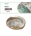 CONCHA DE ABULON 12-14cm 1ud.