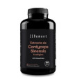 CORDYCEPS SINENSIS 180cap. ECO