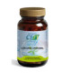 CURCUMIN FITOSOMA 60cap.
