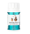 ESSENTIALS OILS URIRRENAL 60perlas.