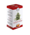 INFUSION CANNABIS frutos del bosque 10ud ECO
