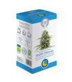 INFUSION CANNABIS happy dreams 10ud ECO