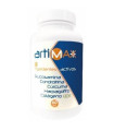 ARTIMAX+ 60comp.