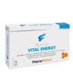 PLANTAVITAL ENERGY 20amp.