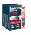 KALEIDON 120 20sbrs.