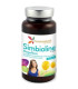 SIMBIOLINE megaflora (vientre plano) 60cap.