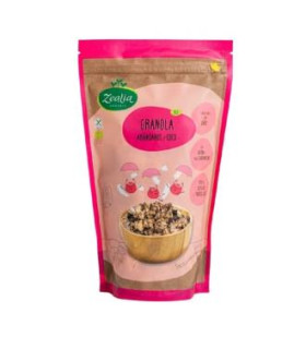 GRANOLA DE ARANDANOS Y COCO 300gr. BIO SG VEGAN