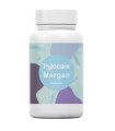 PYLOCARE 60 CAPSULAS