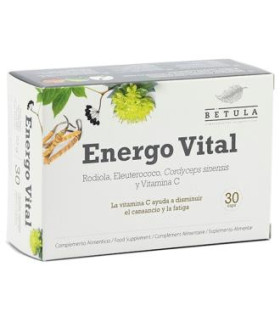 ENERGO VITAL 30cap.