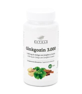 GINKGOZIN 3000 60cap.