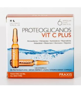 PROTEOGLICANOS VIT C PLUS 6amp.