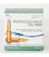 PROTEOGLICANOS OIL FREE 24amp.