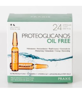 PROTEOGLICANOS OIL FREE 24amp.