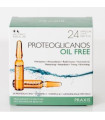 PROTEOGLICANOS OIL FREE 24amp.