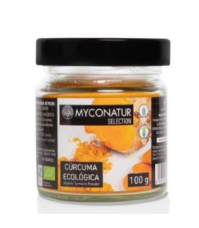 CURCUMA polvo 100gr. ECO
