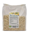COPOS DE AVENA FINOS 1kg
