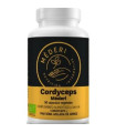 CORDYCEPS 90cap.