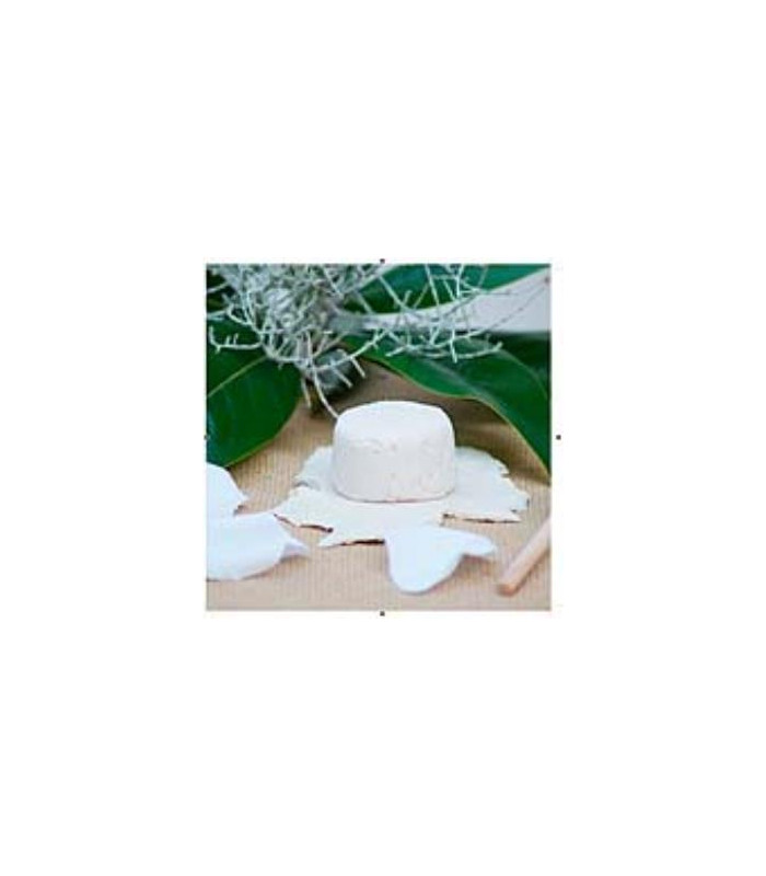 CHAMPU SOLIDO NUTRITIVO 85gr.