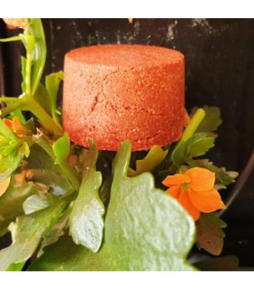 CHAMPU SOLIDO CABELLOS ROJIZOS 85gr.