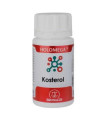 HOLOMEGA KOSTEROL 50cap.