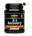 3:1 RECOVERY+ VAINILLA 750 G (15 PORCIONES)