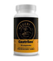 GASTRILEO 90 comp