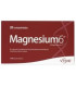 MAGNESIUM-6 20comp.