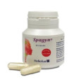SPAGYN 30cap.