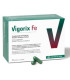 VIGORIX FE 90caps