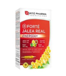 FORTE JALEA REAL ENERGIA+ 20amp.