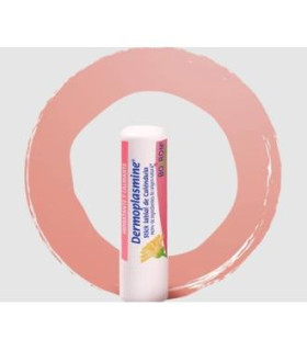 DERMOPLASMINE stick labial 4gr.